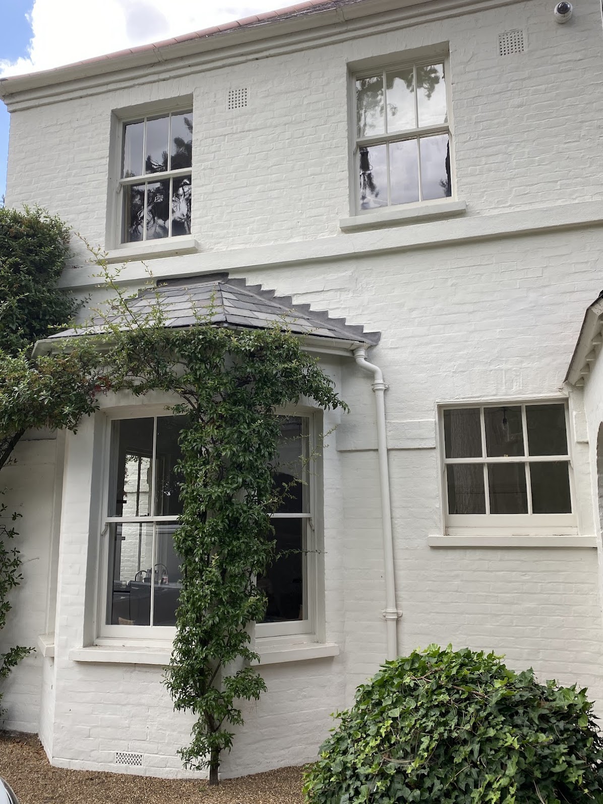 White-painted brick house exterior with three sash windows, climbing plant on the wall, a shrub at the bottom right corner, and recent Sash Window Repair South London.